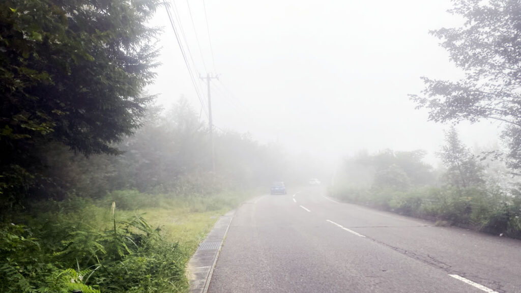 標高が上がるにつれて霧が出てきた