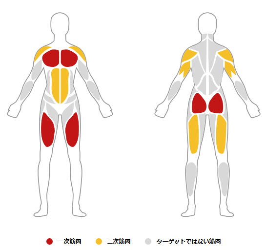 今年は筋トレがんばります