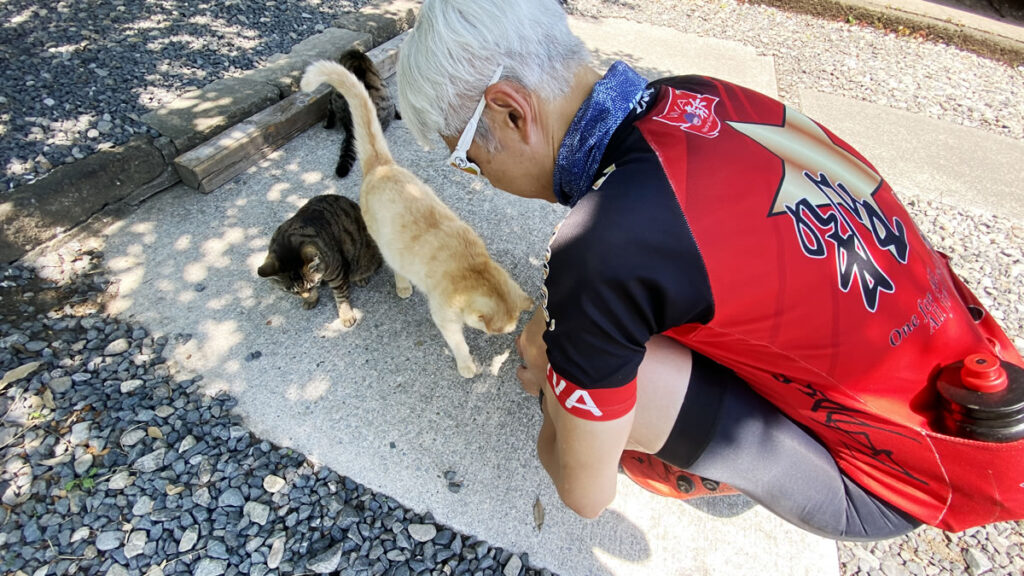 唐沢山神社には猫がいっぱい！