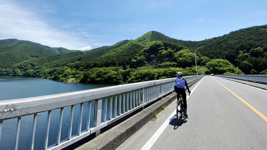 平坦番長で、かつ上りもそこそここなせるエアロ・ロードバイクがほしい