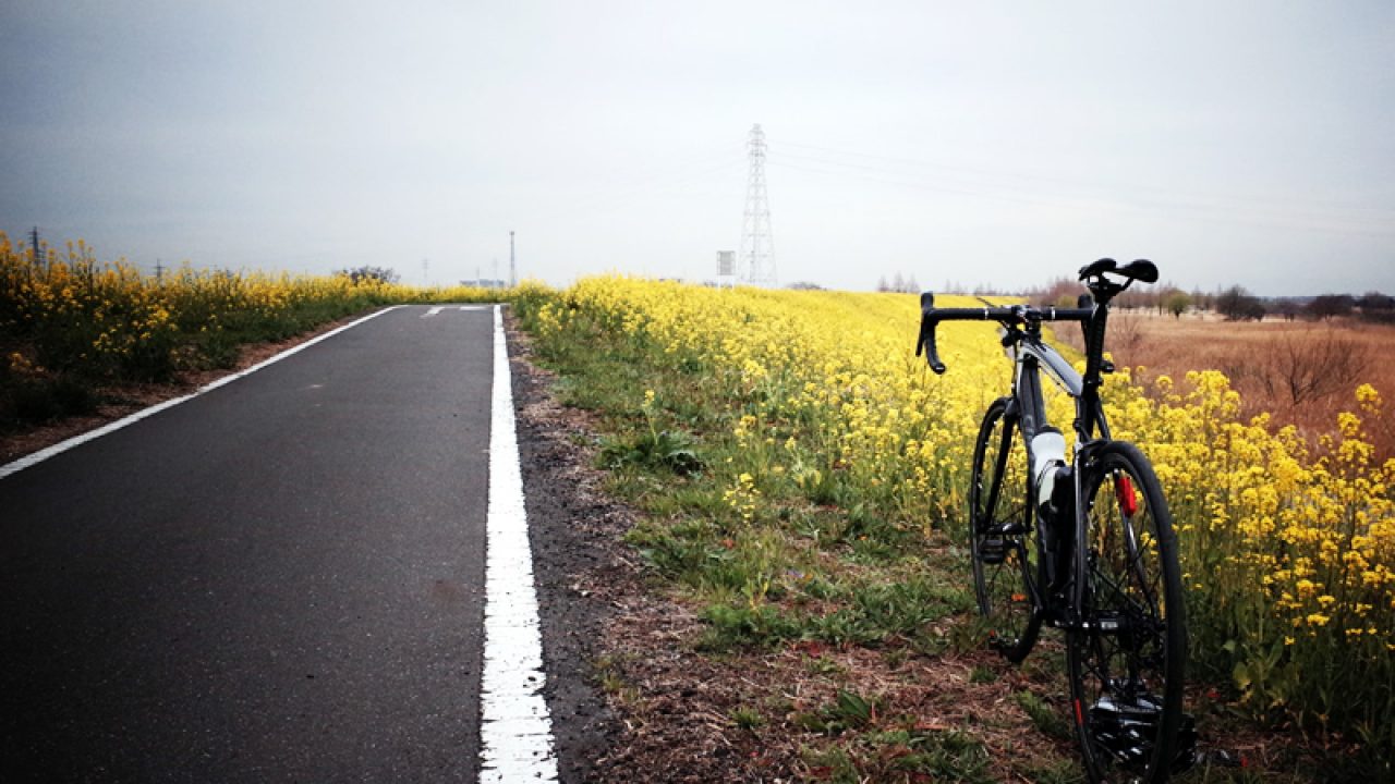 渋峠のルート開拓 Boriko Cycle ロードバイク マウンテンバイク ブログ