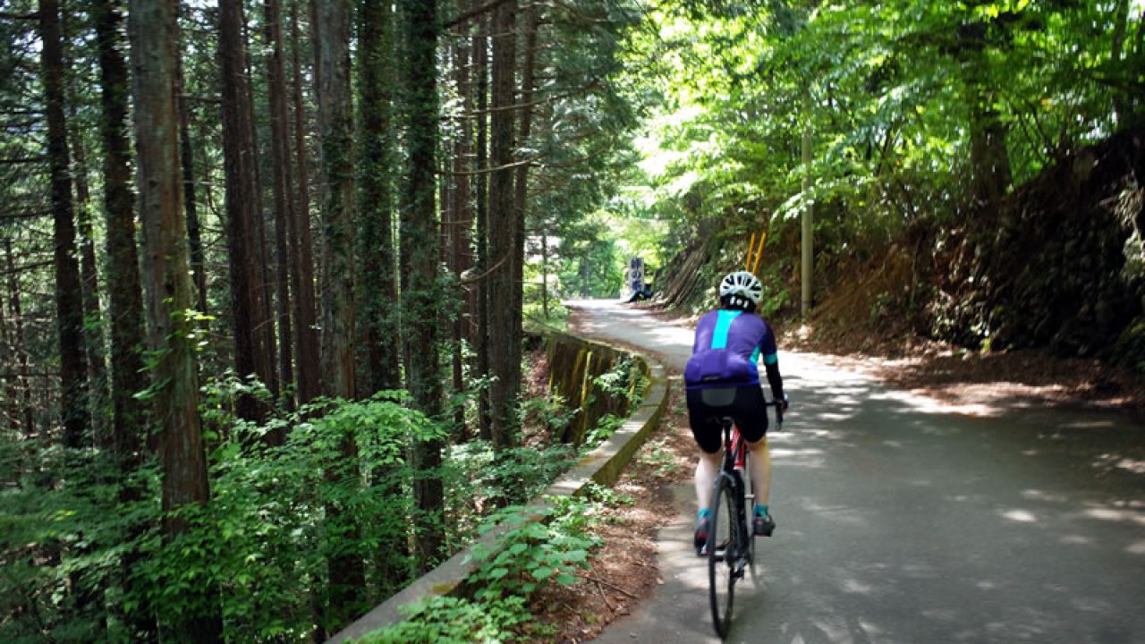 高回転vs低回転 ヒルクライムでのケイデンス その深き闇にgcnが迫る Boriko Cycle ロードバイク マウンテンバイク ブログ