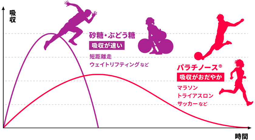 パラチノースに期待できること